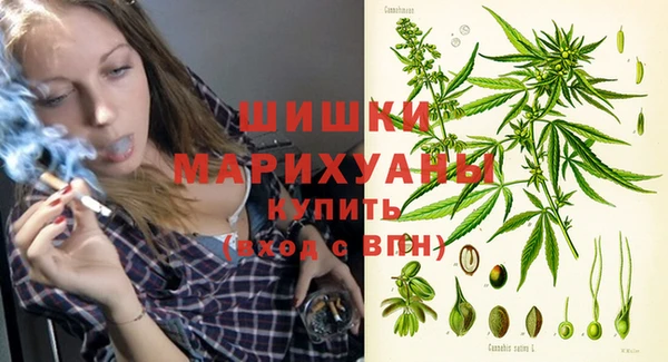 твердый Алзамай