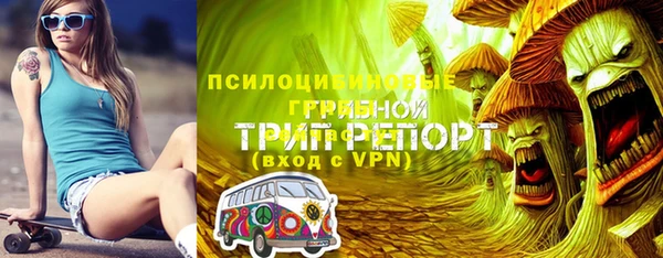 герыч Алексин