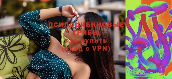 герыч Алексин