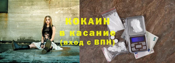 твердый Алзамай