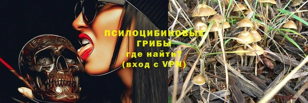 синтетический гашиш Алексеевка
