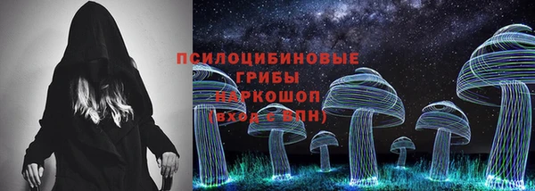 герыч Алексин
