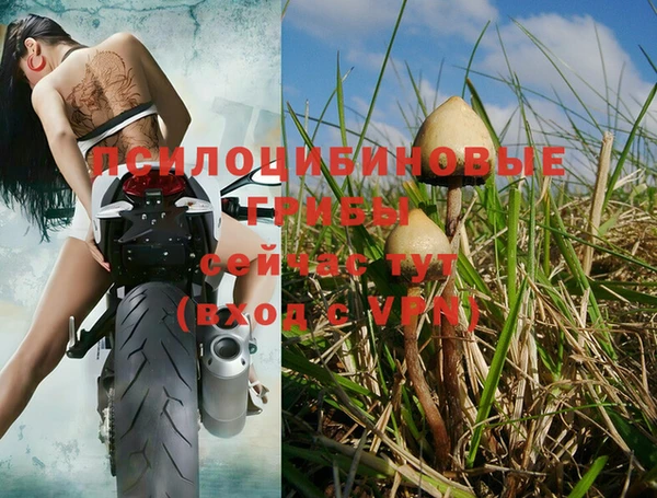 твердый Алзамай
