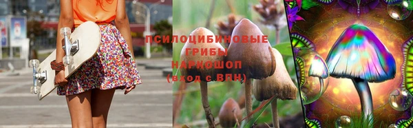 твердый Алзамай