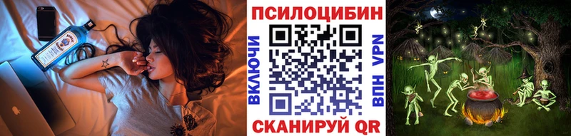 нарко площадка как зайти  Михайловск  Псилоцибиновые грибы Cubensis  как найти наркотики 